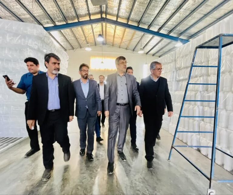 بازدید استاندار یزد از شرکت پیروزان صنعت آریان کویر در شهرستان ابرکوه